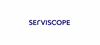 Firmenlogo: Serviscope AG